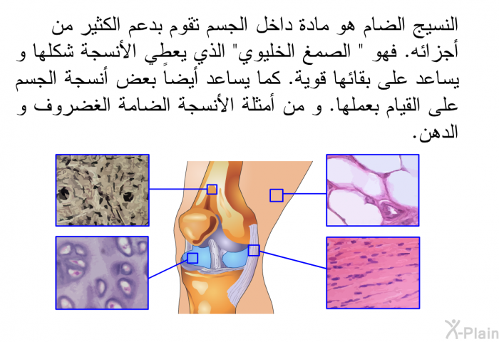 النسيج الضام هو مادة داخل الجسم تقوم بدعم الكثير من أجزائه. فهو " الصمغ الخليوي" الذي يعطي الأنسجة شكلها و يساعد على بقائها قوية. كما يساعد أيضاً بعض أنسجة الجسم على القيام بعملها. و من أمثلة الأنسجة الضامة الغضروف و الدهن.