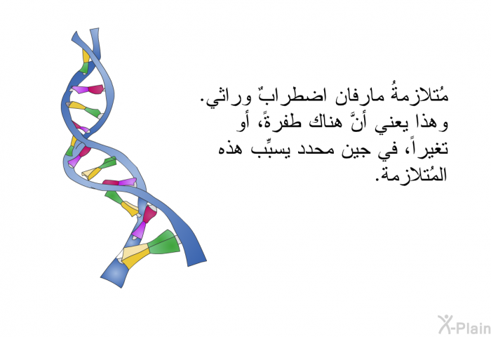 مُتلازمةُ مارفان اضطرابٌ وراثي. وهذا يعني أنَّ هناك طفرةً، أو تغيراً، في جين محدد يسبِّب هذه المُتلازمة.