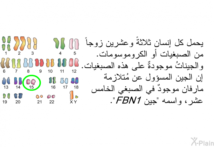يحمل كل إنسان ثلاثةً وعشرين زوجاً من الصبغيات أو الكروموسومات. والجيناتُ موجودةٌ على هذه الصبغيات. إن الجين المسؤول عن مُتلازمة مارفان موجودٌ في الصبغي الخامس عشر، واسمه "جين FBN1".