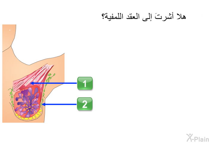 هلا أشرتَ إلى العقد اللمفية؟