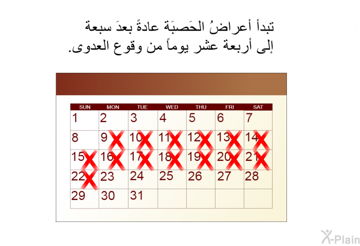 تبدأ أعراضُ الحَصبَة عادةً بعدَ سبعة إلى أربعة عشر يوماً من وقوع العدوى.