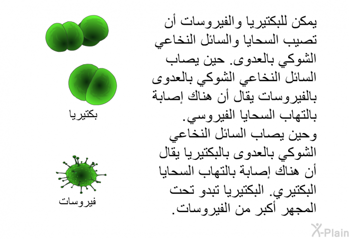 يمكن للبكتيريا والفيروسات أن تصيب السحايا والسائل النخاعي الشوكي بالعدوى. حين يصاب السائل النخاعي الشوكي بالعدوى بالفيروسات يقال أن هناك إصابة بالتهاب السحايا الفيروسي. وحين يصاب السائل النخاعي الشوكي بالعدوى بالبكتيريا يقال أن هناك إصابة بالتهاب السحايا البكتيري. البكتيريا تبدو تحت المجهر أكبر من الفيروسات.