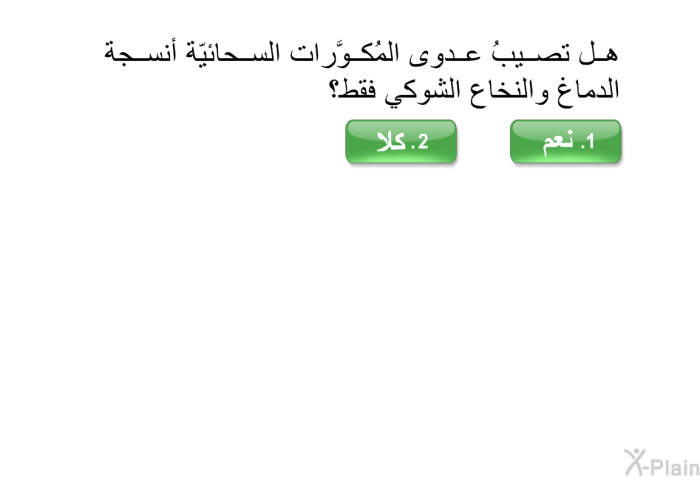 هل تصيبُ عدوى المُكوَّرات السحائيّة أنسجة الدماغ والنخاع الشوكي فقط؟