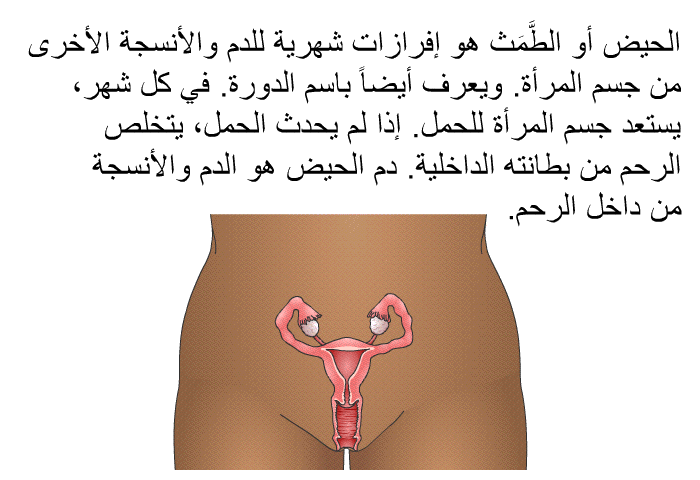 الحيض أو الطَّمَث هو إفرازات شهرية للدم والأنسجة الأخرى من جسم المرأة. ويعرف أيضاً باسم الدورة. في كل شهر، يستعد جسم المرأة للحمل. إذا لم يحدث الحمل، يتخلص الرحم من بطانته الداخلية. دم الحيض هو الدم والأنسجة من داخل الرحم.