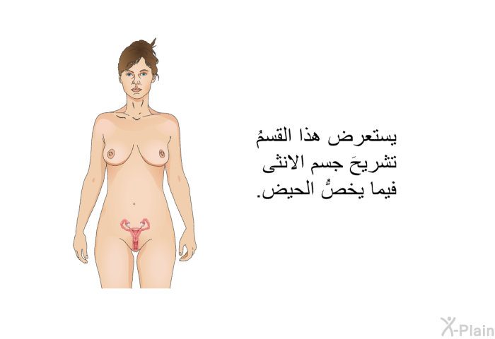 يستعرض هذا القسمُ تشريحَ جسم الانثى فيما يخصُّ الحيض.
