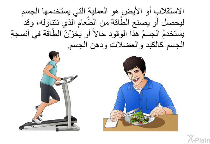 الاستقلابُ أو الأيض هو العمليةُ التي يستخدمها الجسم ليحصلَ أو يصنعَ الطَّاقة من الطَّعام الذي نتناوله، وقد يستخدمُ الجسمُ هذا الوقودَ حالاً أو يخزِّنُ الطَّاقةَ في أنسجةِ الجسم كالكبدِ والعضلات ودهن الجسم.