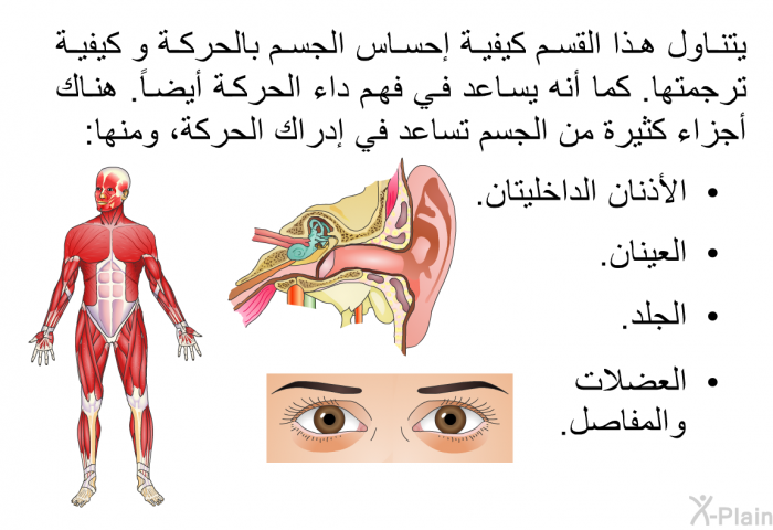 يتناول هذا القسم كيفية إحساس الجسم بالحركة و كيفية ترجمتها. كما أنه يساعد في فهم داء الحركة أيضاً. هناك أجزاء كثيرة من الجسم تساعد في إدراك الحركة، ومنها:   الأذنان الداخليتان.  العينان.  الجلد. العضلات والمفاصل.