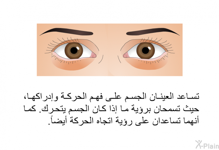 تساعد العينان الجسم على فهم الحركة وإدراكها، حيث تسمحان برؤية ما إذا كان الجسم يتحرك. كما أنهما تساعدان على رؤية اتجاه الحركة أيضاً.