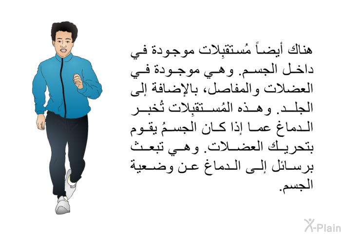هناك أيضاً مُستقبِلات موجودة في داخل الجسم. وهي موجودة في العضلات والمفاصل، بالإضافة إلى الجلد. وهذه المُستقبِلات تُخبر الدماغ عما إذا كان الجسمُ يقوم بتحريك العضلات. وهي تبعث برسائل إلى الدماغ عن وضعية الجسم.