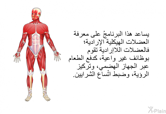 تساعد هذه المعلومات الصحية على معرفة العضلات الهيكلية الإرادية؛ فالعضلات اللاإرادية تقوم بوظائف غير واعية، كدفع الطعام عبر الجهاز الهضمي، وتركيز الرؤية، وضبط اتِّساع الشرايين.