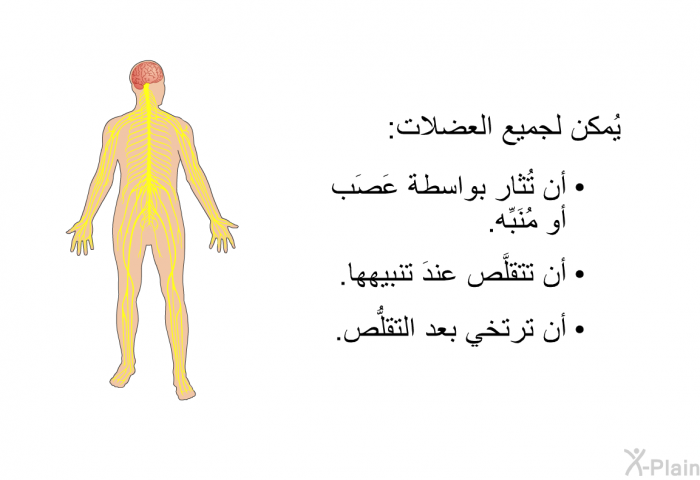 يُمكن لجميع العضلات:   أن تُثار بواسطة عَصَب أو مُنَبِّه.  أن تتقلَّص عندَ تنبيهها. أن ترتخي بعد التقلُّص.