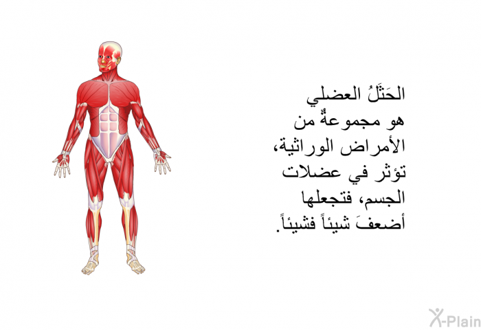 الحَثَلُ العضلي هو مجموعةٌ من الأمراض الوراثية، تؤثِّر في عضلات الجسم، فتجعلها أضعفَ شيئاً فشيئاً.