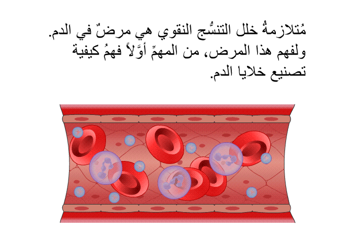 مُتلازمةُ خلل التنسُّج النقوي هي مرضٌ في الدم. ولفهم هذا المرض، من المهمِّ أوَّلاً فهمُ كيفية تصنيع خلايا الدم.