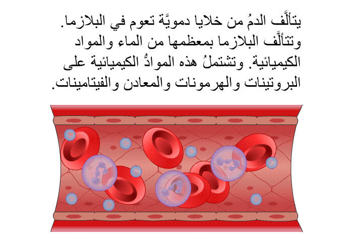 يتألَّف الدمُ من خلايا دمويَّة تعوم في البلازما. وتتألَّف البلازما بمعظمها من الماء والمواد الكيميائية. وتشتملُ هذه الموادُّ الكيميائية على البروتينات والهرمونات والمعادن والفيتامينات.