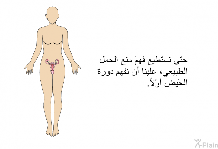 حتى نستطيع فهمَ منع الحمل الطبيعي، علينا أن نفهم دورة الحَيض أوَّلاً.