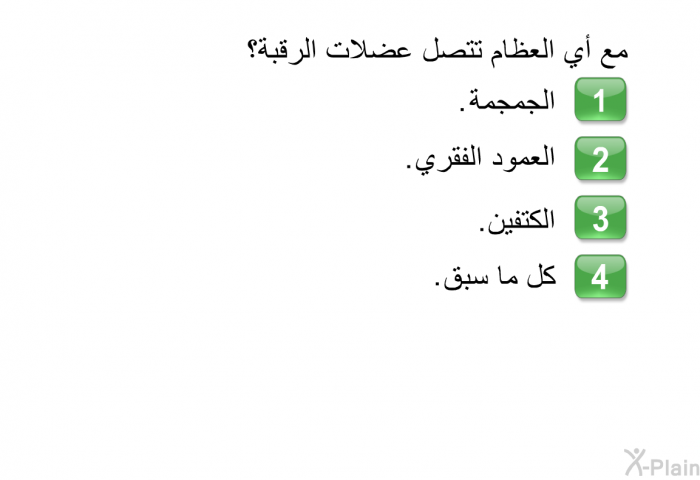 مع أي العظام تتصل عضلات الرقبة؟   الجمجمة  العمود الفقري  الكتفين  كل ما سبق