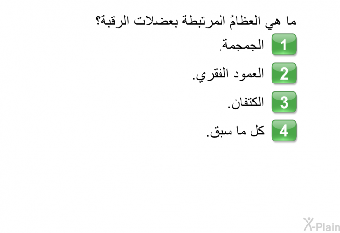 ما هي العظامُ المرتبطة بعضلات الرقبة؟   الجمجمة.  العمود الفقري.  الكتفان. كل ما سبق.