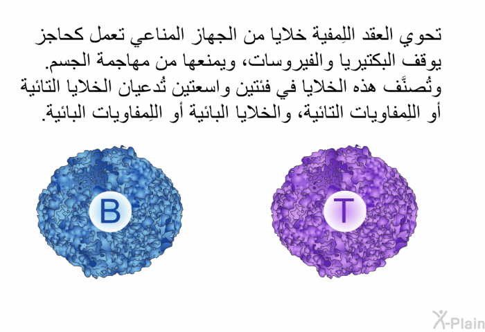 تحوي العقد اللِمفية خلايا من الجهاز المناعي تعمل كحاجز يوقف البكتيريا والفيروسات، ويمنعها من مهاجمة الجسم. وتُصنَّف هذه الخلايا في فئتين واسعتين تُدعيان الخلايا التائية أو اللِمفاويات التائية، والخلايا البائية أو اللِمفاويات البائية.