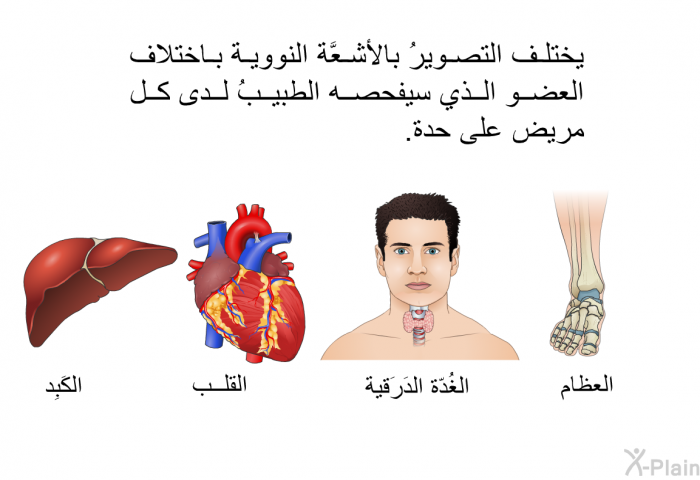 يختلف التصويرُ بالأشعَّة النووية باختلاف العضو الذي سيفحصه الطبيبُ لدى كل مريض على حدة.