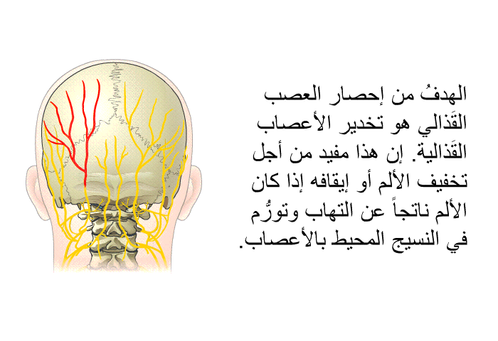 الهدفُ من إحصار العصب القَذالي هو تخدير الأعصاب القَذالية. إن هذا مفيد من أجل تخفيف الألم أو إيقافه إذا كان الألم ناتجاً عن التهاب وتورُّم في النسيج المحيط بالأعصاب.