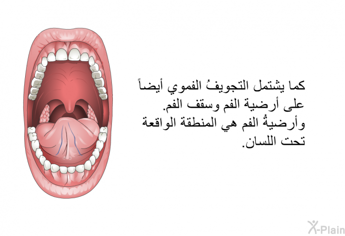 كما يشتمل التجويفُ الفموي أيضاً على أرضية الفم وسقف الفم. وأرضيةُ الفم هي المنطقة الواقعة تحت اللسان.