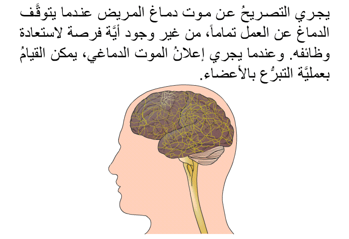 يجري التصريحُ عن موت دماغ المريض عندما يتوقَّف الدماغُ عن العمل تماماً، من غير وجود أيَّة فرصة لاستعادة وظائفه. وعندما يجري إعلانُ الموت الدماغي، يمكن القيامُ بعمليَّة التبرُّع بالأعضاء.