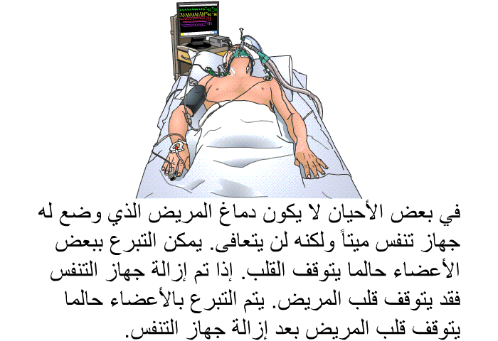في بعض الأحيان لا يكون دماغ المريض الذي وضع له جهاز تنفس ميتاً ولكنه لن يتعافى. يمكن التبرع ببعض الأعضاء حالما يتوقف القلب. إذا تم إزالة جهاز التنفس فقد يتوقف قلب المريض. يتم التبرع بالأعضاء حالما يتوقف قلب المريض بعد إزالة جهاز التنفس.