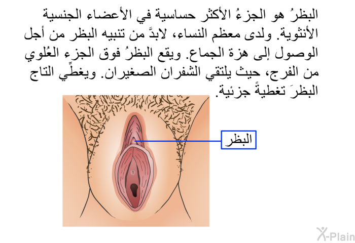البظرُ هو الجزءُ الأكثر حساسية في الأعضاء الجنسية الأنثوية. ولدى معظم النساء، لابدَّ من تنبيه البظر من أجل الوصول إلى هزة الجماع. ويقع البظرُ فوق الجزء العُلوي من الفرج، حيث يلتقي الشفران الصغيران. ويغطِّي التاج البظرَ تغطيةً جزئية.