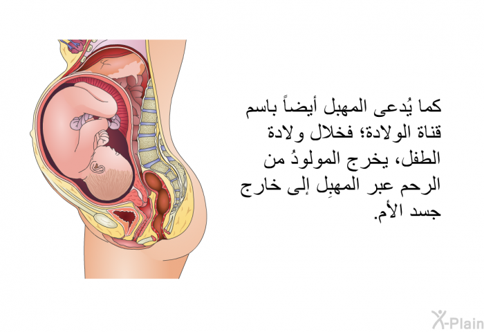 كما يُدعى المهبل أيضاً باسم قناة الولادة؛ فخلال ولادة الطفل، يخرج المولودُ من الرحم عبر المهبِل إلى خارج جسد الأم.