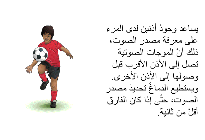 يساعد وجودُ أذنين لدى المرء على معرفة مصدر الصوت، ذلك أنَّ الموجات الصوتية تصل إلى الأذن الأقرب قبل وصولها إلى الأذن الأخرى. ويستطيع الدماغُ تحديدَ مصدر الصوت، حتَّى إذا كان الفارق أقلَّ من ثانية.