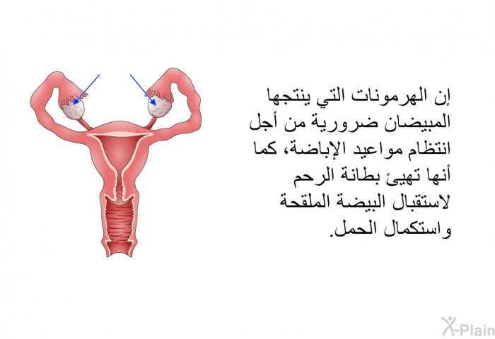 إن الهرمونات التي ينتجها المبيضان ضرورية من أجل انتظام مواعيد الإباضة، كما أنها تهيئ بطانة الرحم لاستقبال البيضة الملقحة واستكمال الحمل.