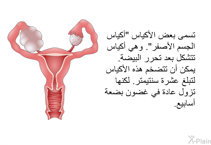 تسمى بعض الأكياس "أكياس الجسم الأصفر". وهي أكياس تتشكل بعد تحرر البيضة. يمكن أن تتضخم هذه الأكياس لتبلغ عشرة سنتيمتر. لكنها تزول عادة في غضون بضعة أسابيع.