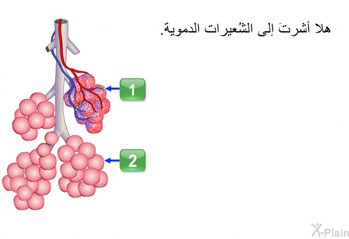 هلا أشرتَ إلى الشُعيرات الدموية.