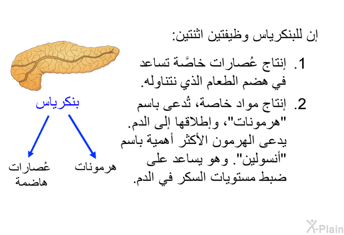 إن للبنكرياس وظيفتين اثنتين:   إنتاج عُصارات خاصَّة تساعد في هضم الطعام الذي نتناوله. إنتاج مواد خاصة، تُدعى باسم "هرمونات"، وإطلاقها إلى الدم. يدعى الهرمون الأكثر أهمية باسم "أنسولين". وهو يساعد على ضبط مستويات السكر في الدم.