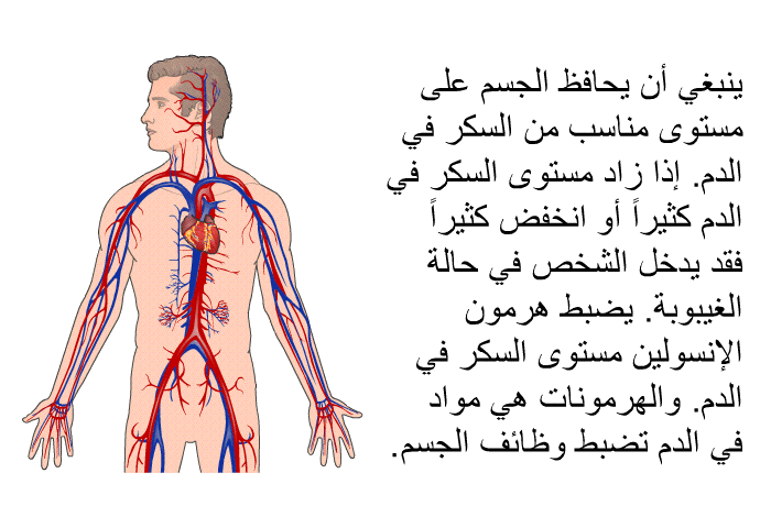 ينبغي أن يحافظ الجسم على مستوى مناسب من السكر في الدم. إذا زاد مستوى السكر في الدم كثيراً أو انخفض كثيراً فقد يدخل الشخص في حالة الغيبوبة. يضبط هرمون الإنسولين مستوى السكر في الدم. والهرمونات هي مواد في الدم تضبط وظائف الجسم.