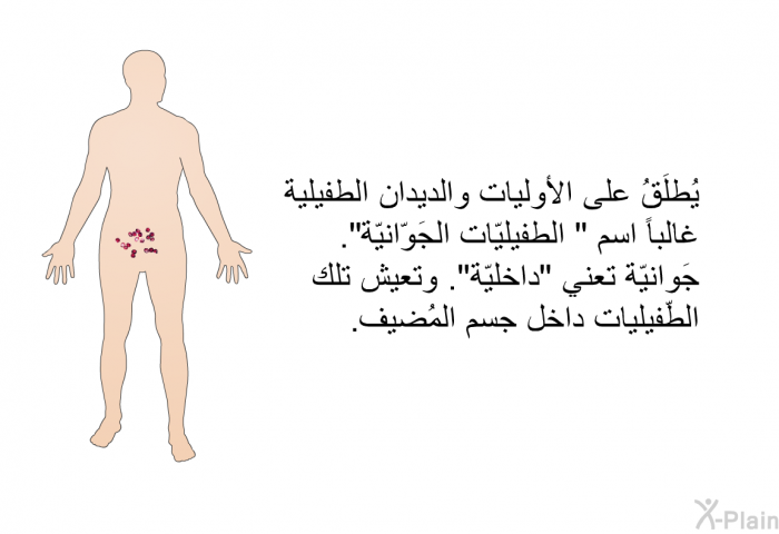 يُطلَقُ على الأوليات والديدان الطفيلية غالباً اسم " الطفيليّات الجَوّانيّة". جَوانيّة تعني "داخليّة". وتعيش تلك الطّفيليات داخل جسم المُضيف.