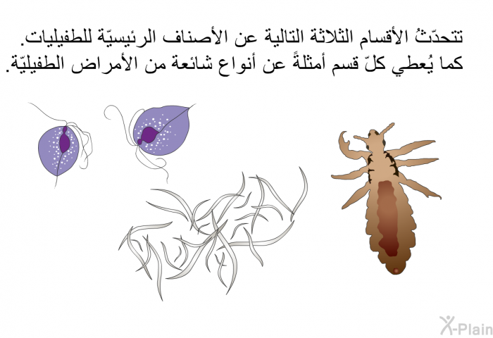 تتحدّثُ الأقسام الثلاثة التالية عن الأصناف الرئيسيّة للطفيليات. كما يُعطي كلّ قسم أمثلةً عن أنواع شائعة من الأمراض الطفيليّة.