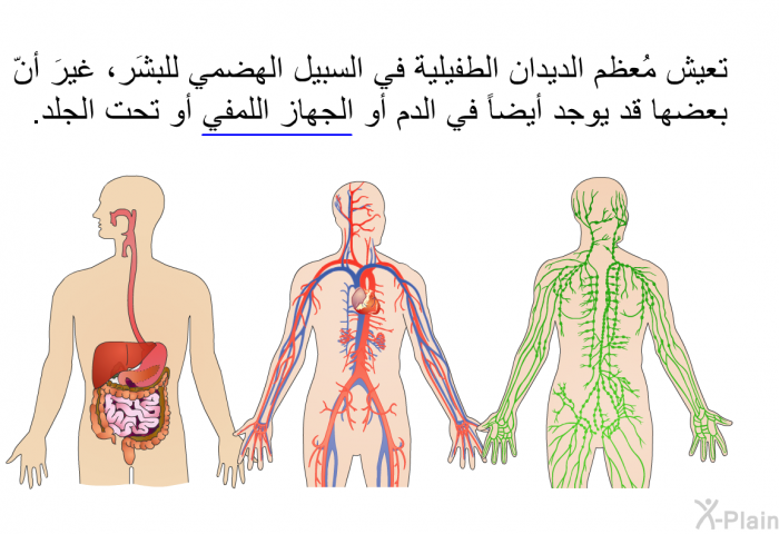تعيش مُعظم الديدان الطفيلية في السبيل الهضمي للبشَر، غيرَ أنّ بعضها قد يوجد أيضاً في الدم أو الجهاز اللمفي أو تحت الجلد.