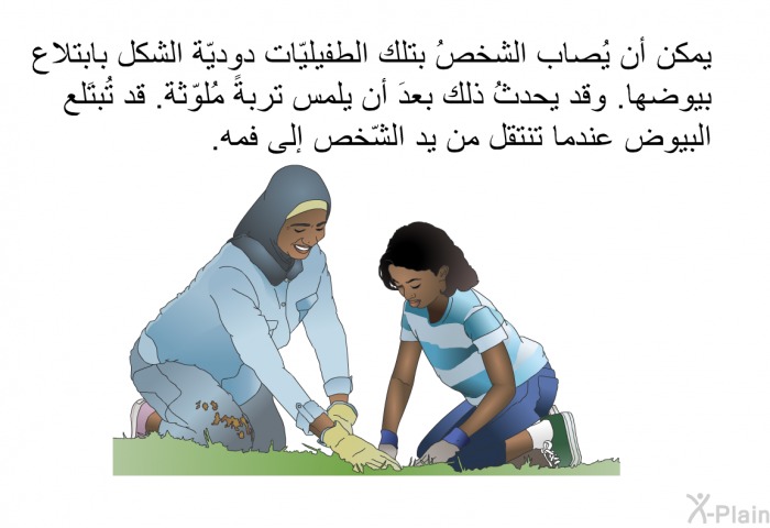 يمكن أن يُصاب الشخصُ بتلك الطفيليّات دوديّة الشكل بابتلاع بيوضها. وقد يحدثُ ذلك بعدَ أن يلمس تربةً مُلوّثة. قد تُبتَلع البيوض عندما تنتقل من يد الشّخص إلى فمه.