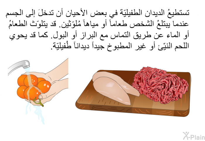 تستطيعُ الديدان الطفيليّة في بعض الأحيان أن تدخلَ إلى الجسم عندما يبتلعُ الشخص طعاماً أو مياهاً مُلوّثين. قد يتلوّث الطعامُ أو الماء عن طريق التماس مع البراز أو البول. كما قد يحوي اللحم النيِّئ أو غير المطبوخ جيداً ديداناً طُفيليّة.