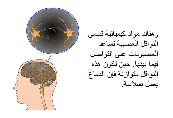وهناك مواد كيميائية تسمى النواقل العصبية تساعد العصبونات على التواصل فيما بينها. حين تكون هذه النواقل متوازنة فإن الدماغ يعمل بسلاسة.