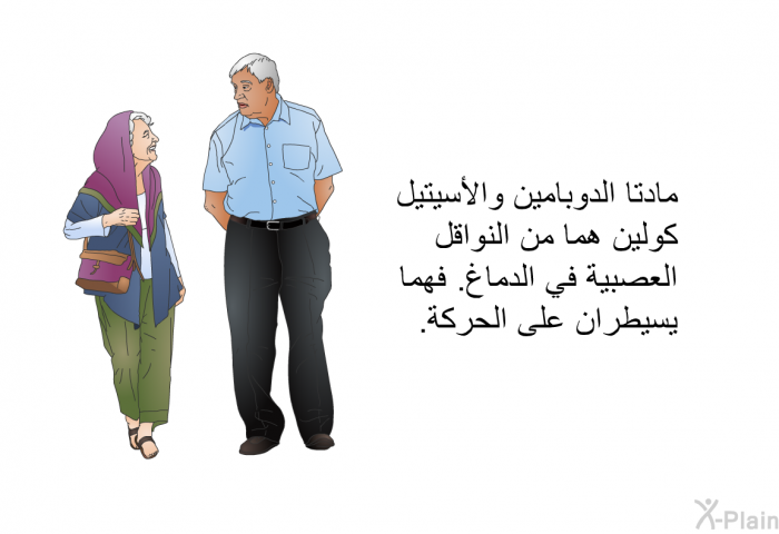 مادتا الدوبامين والأسيتيل كولين هما من النواقل العصبية في الدماغ. فهما يسيطران على الحركة.