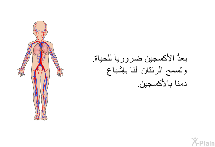 يعدُّ الأكسجين ضرورياً للحياة. وتسمح الرئتان لنا بإشباع دمنا بالأكسجين.