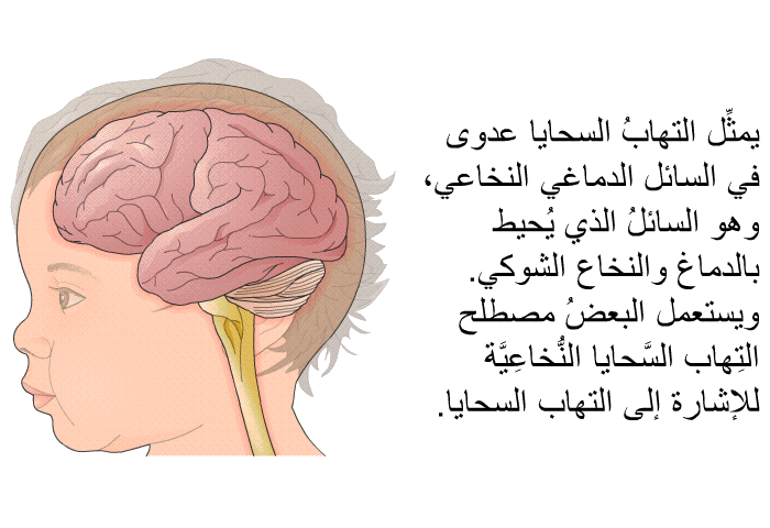 يمثِّل التهابُ السحايا عدوى في السائل الدماغي النخاعي، وهو السائلُ الذي يُحيط بالدماغ والنخاع الشوكي. ويستعمل البعضُ مصطلح التِهاب السَّحايا النُّخاعِيَّة للإشارة إلى التهاب السحايا.