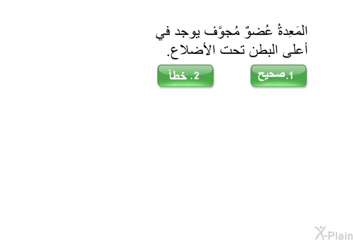 المَعِدةُ عُضوٌ مُجوَّف يوجد في أعلى البطن تحت الأضلاع.