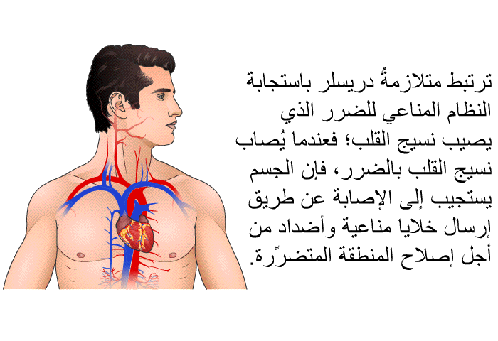 ترتبط متلازمةُ دريسلر باستجابة النظام المناعي للضرر الذي يصيب نسيج القلب؛ فعندما يُصاب نسيج القلب بالضرر، فإن الجسم يستجيب إلى الإصابة عن طريق إرسال خلايا مناعية وأضداد من أجل إصلاح المنطقة المتضرِّرة.