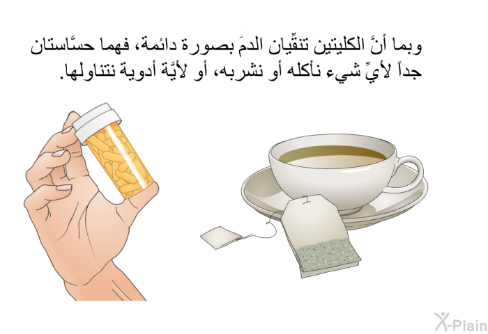 وبما أنَّ الكليتين تنقِّيان الدمَ بصورة دائمة، فهما حسَّاستان جداً لأيِّ شيء نأكله أو نشربه، أو لأيَّة أدوية نتناولها.