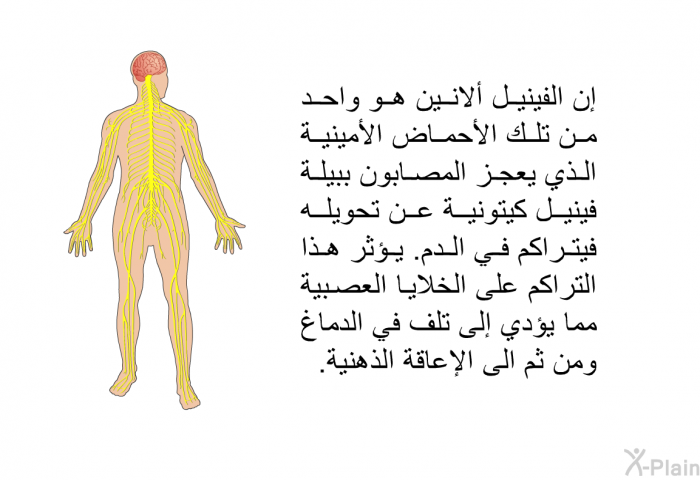 إن الفينيل ألانين هو واحد من تلك الأحماض الأمينية الذي يعجز المصابون ببيلة فينيل كيتونية عن تحويله فيتراكم في الدم. يؤثر هذا التراكم على الخلايا العصبية مما يؤدي إلى تلف في الدماغ ومن ثم الى الإعاقة الذهنية.