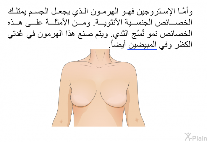 وأمَّا الإستروجين فهو الهرمون الذي يجعل الجسم يمتلك الخصائص الجنسية الأنثوية. ومن الأمثلة على هذه الخصائص نمو نُسُج الثدي. ويتم صنع هذا الهرمون في غُدتي الكظر وفي المبيضين أيضاً.