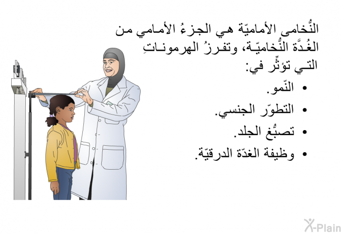 النُّخامى الأماميّة هي الجزءُ الأمامي من الغُدَّة النُّخاميّة، وتفرزُ الهرموناتِ التي تؤثِّر في:  النّمو. التطوّر الجنسي. تصبُّغ الجلد. وظيفة الغدّة الدرقيّة.